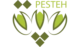 فروشگاه اینترنتی پسته فروشگاه اینترنتی پسته